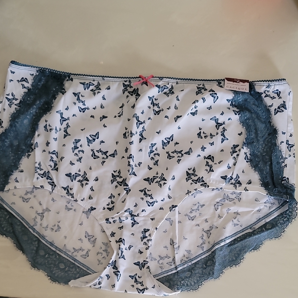 Cacique White Briefs with Blue Butterfly Print & Blue Lace